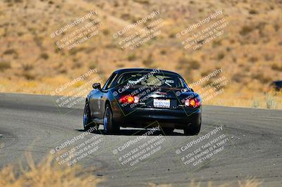 media/Nov-16-2024-Extreme Speed (Sat) [[6587d07cc4]]/Gold Group/Session 2 (Turns 3 and 5)/